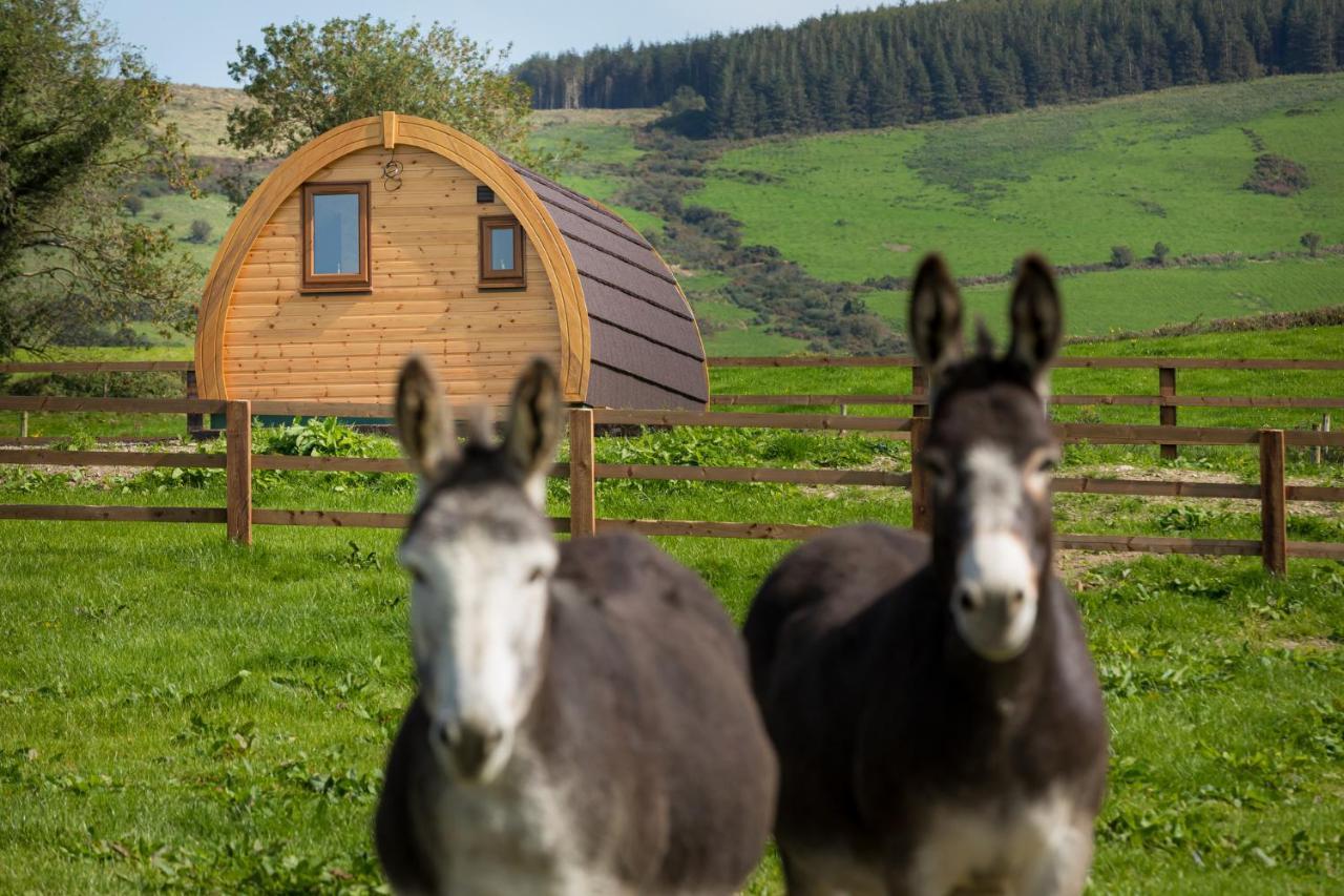 KilbaneLuxury Two-Bed Glamping Pod In County Clare 2别墅 外观 照片