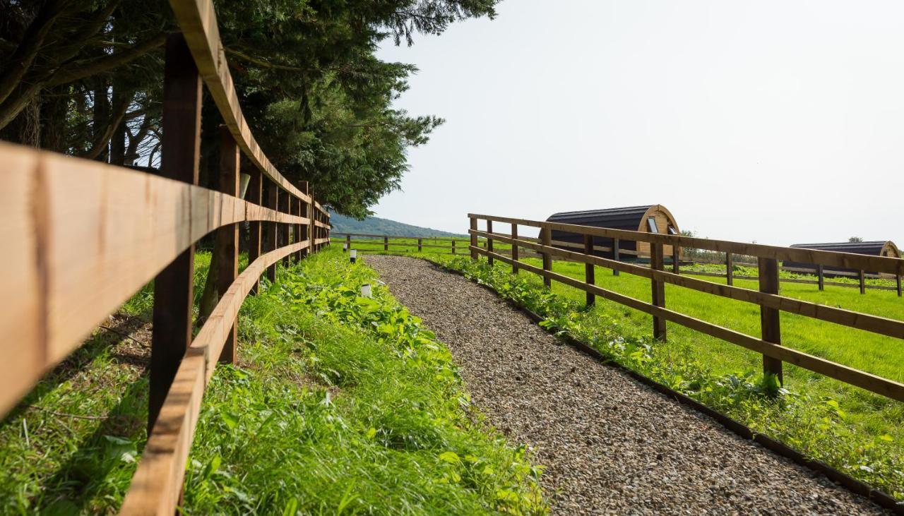 KilbaneLuxury Two-Bed Glamping Pod In County Clare 2别墅 外观 照片
