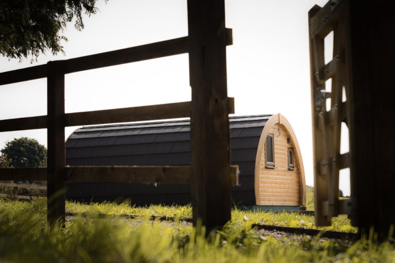 KilbaneLuxury Two-Bed Glamping Pod In County Clare 2别墅 外观 照片