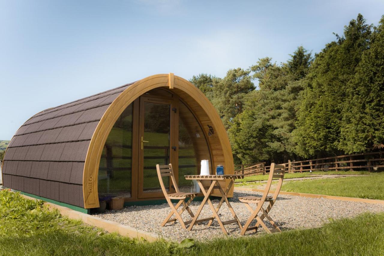 KilbaneLuxury Two-Bed Glamping Pod In County Clare 2别墅 外观 照片