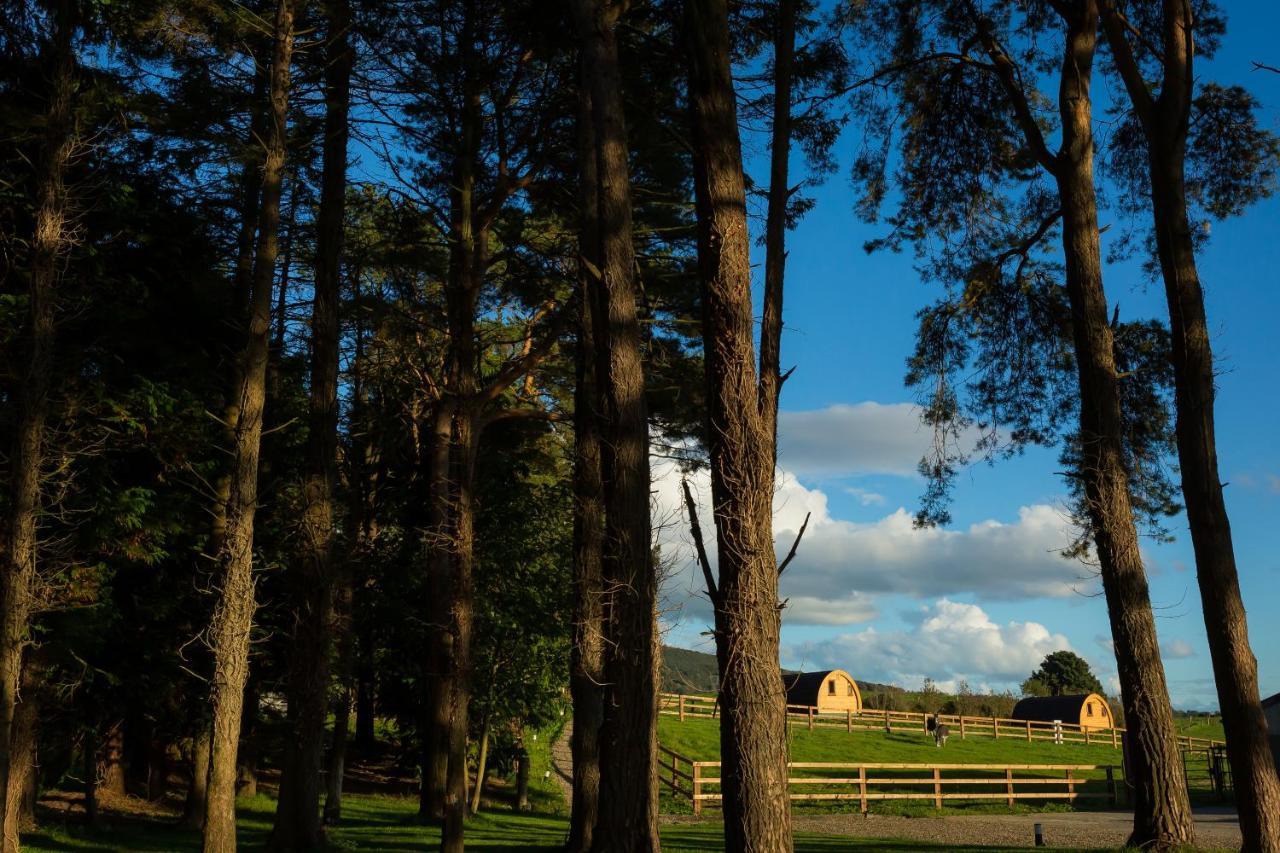KilbaneLuxury Two-Bed Glamping Pod In County Clare 2别墅 外观 照片